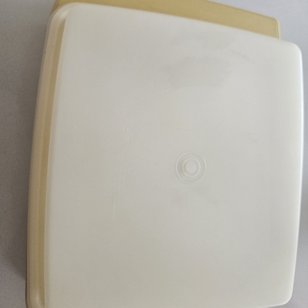 Vintage Tupperware Devil Egg Container